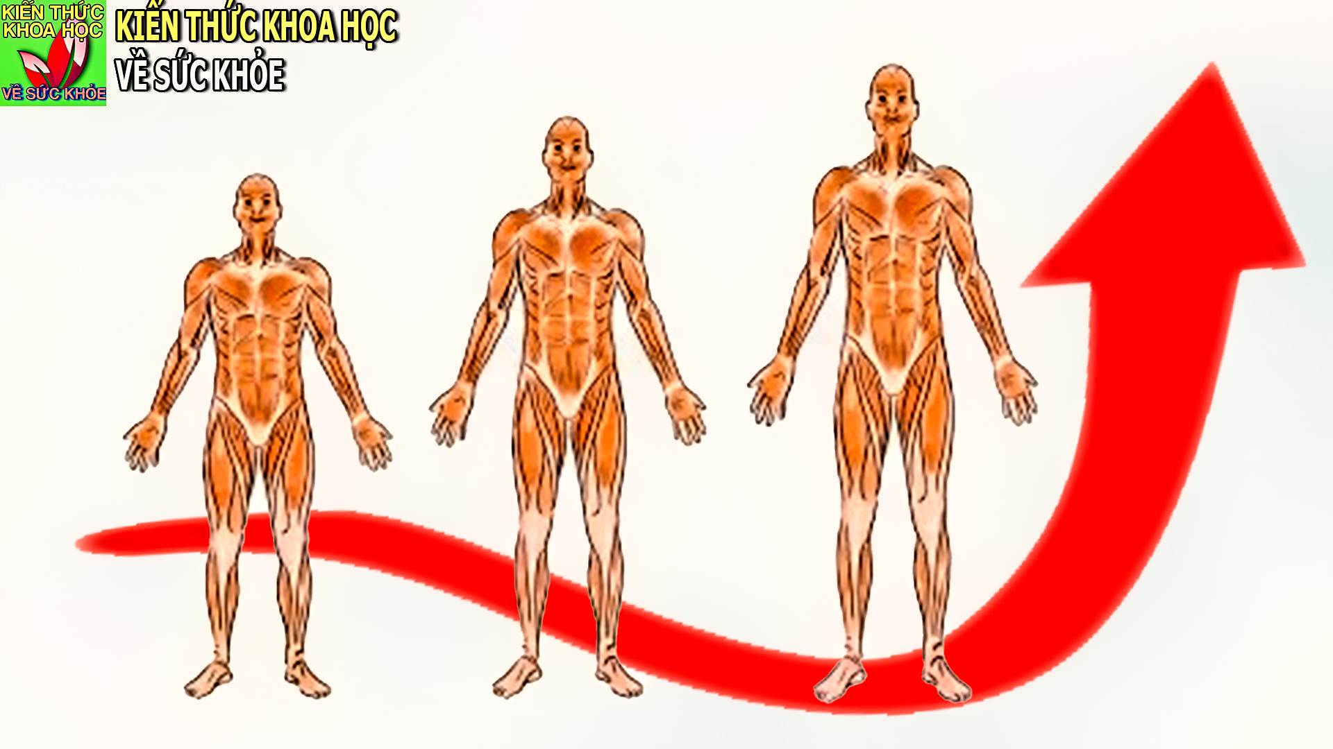 khung-gio-vang-de-ngu-giup-tang-chieu-cao-toi-da