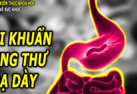 loai-vi-khuan-gay-ung-thu-da-day-de-lay-qua-bua-an