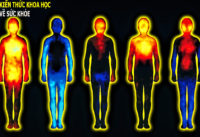 nguyen-nhan-gay-nong-trong-nguoi