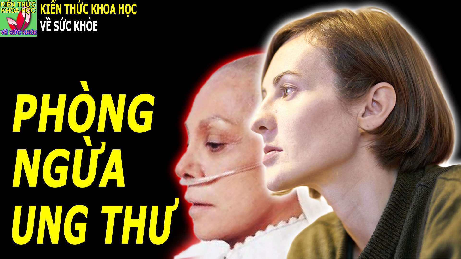 11-yeu-to-nguy-co-gay-ung-thu-co-the-phong-ngua-duoc