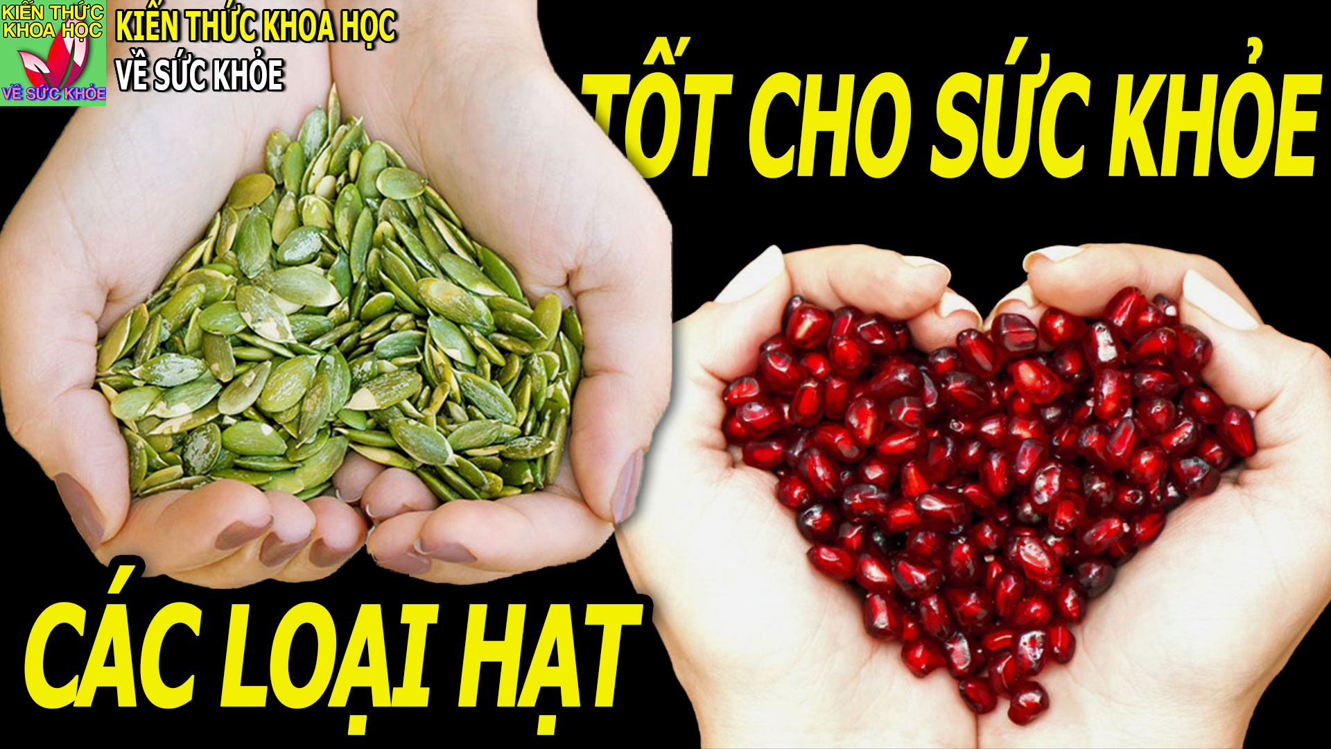 7-loai-hat-giau-chat-dinh-duong-cuc-tot-cho-suc-khoe