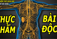 an-uong-gi-de-thai-doc-co-the-hieu-qua-hon