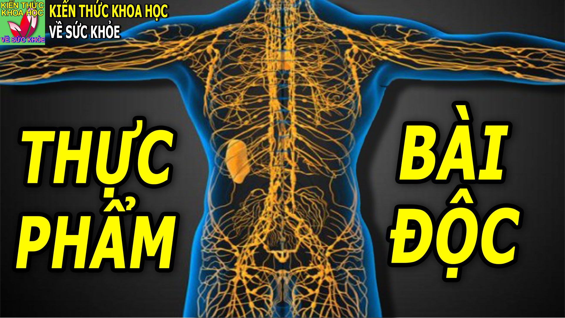 an-uong-gi-de-thai-doc-co-the-hieu-qua-hon