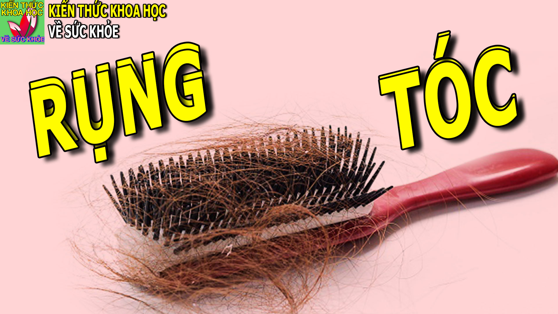 rung-toc-nhieu-bieu-hien-benh-gi