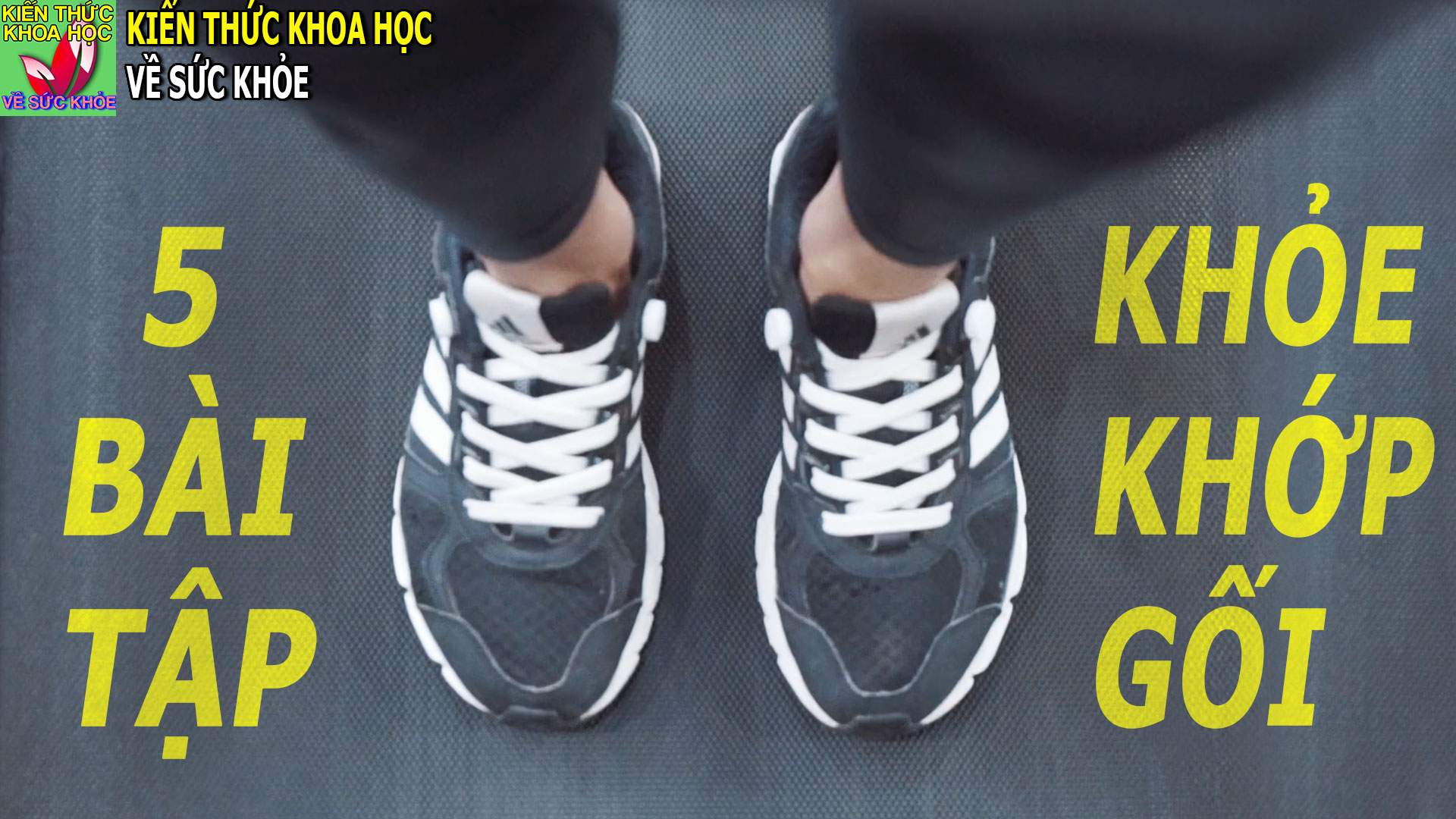 5-bai-tap-khoe-khop-goi-phong-ngua-cac-benh-ve-dau-goi