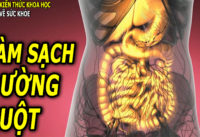 5-cach-lam-sach-va-thong-thoang-duong-ruot-don-gian