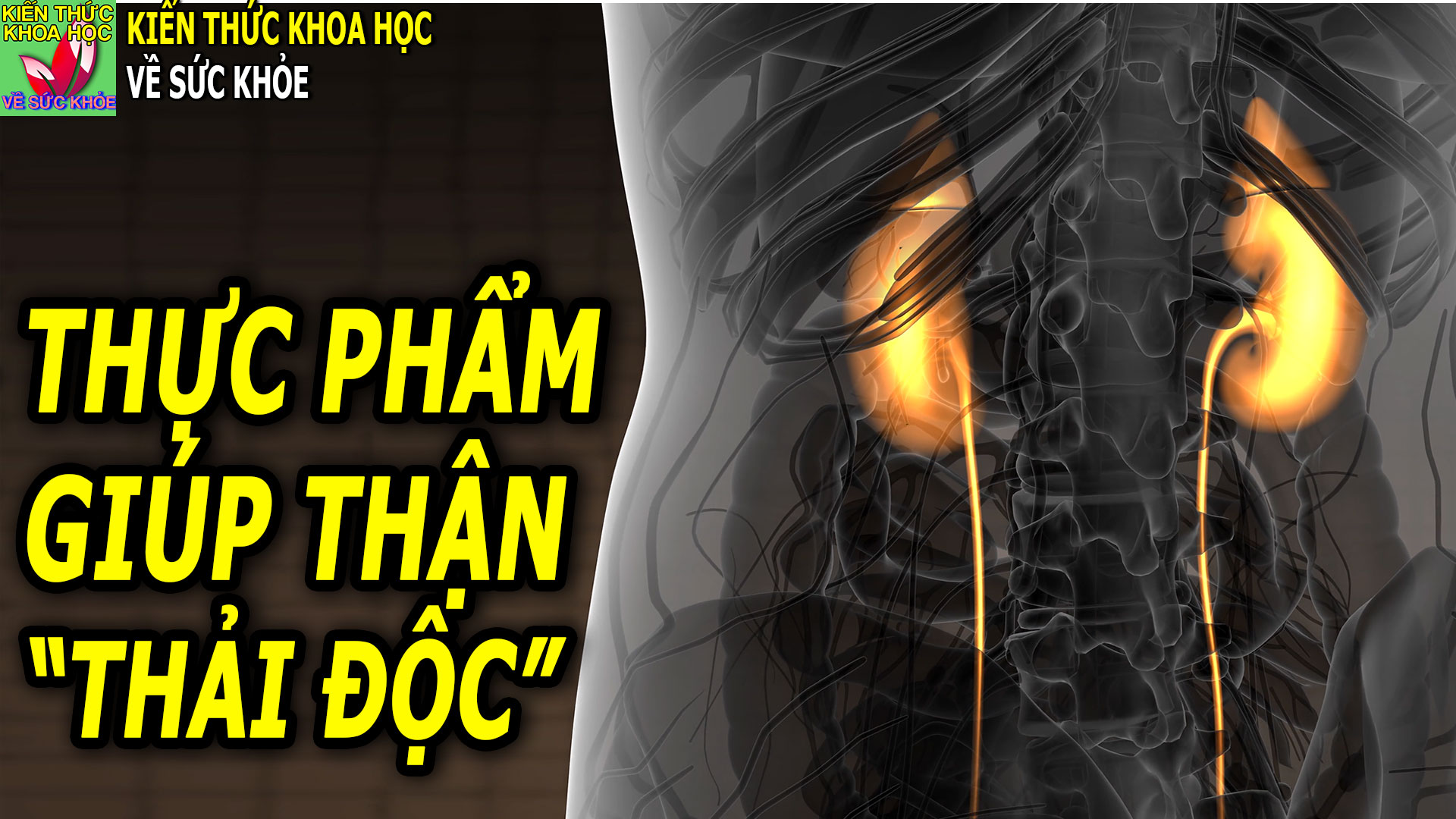 5-thuc-pham-giup-than-thai-doc-nen-co-trong-bua-an