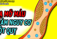 6-cach-lam-giam-mo-mau-phong-ngua-dot-quy