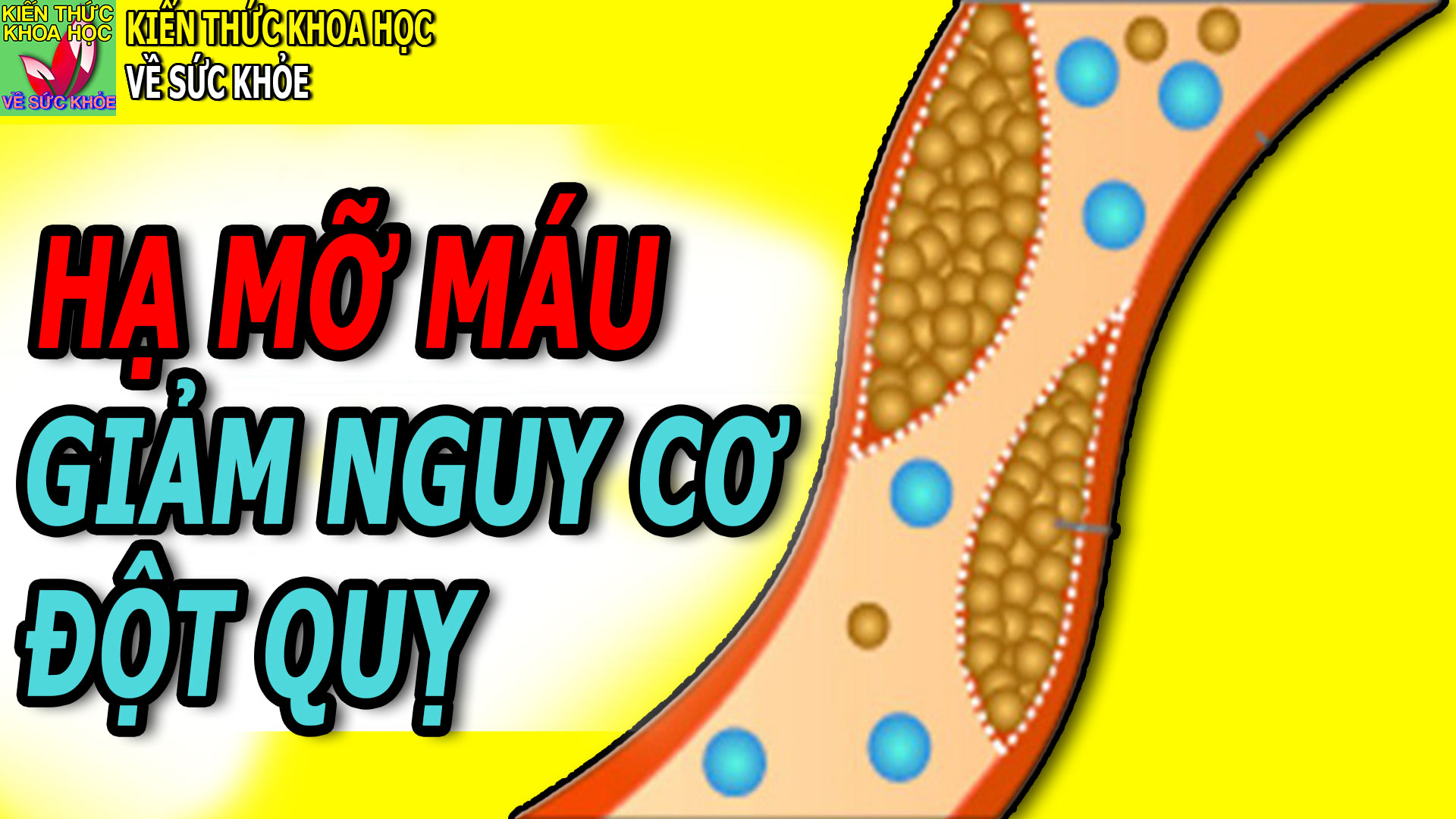 6-cach-lam-giam-mo-mau-phong-ngua-dot-quy