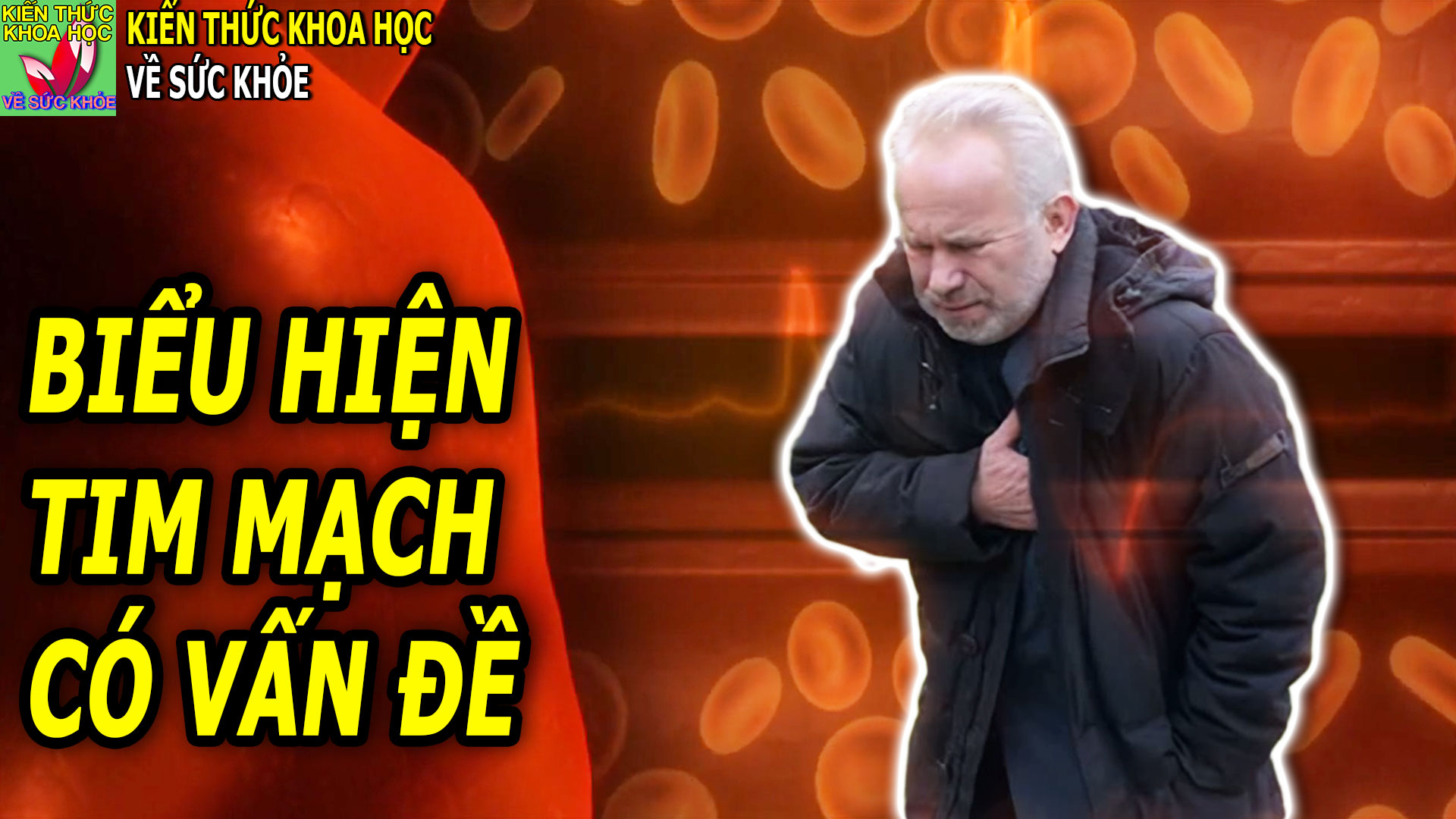 8-dau-hieu-canh-bao-suc-khoe-tim-mach-co-van-de