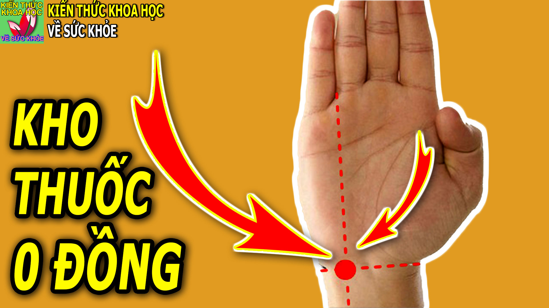 chan-an-mat-ngu-tim-dap-nhanh-tim-bam-huyet-vi-nay