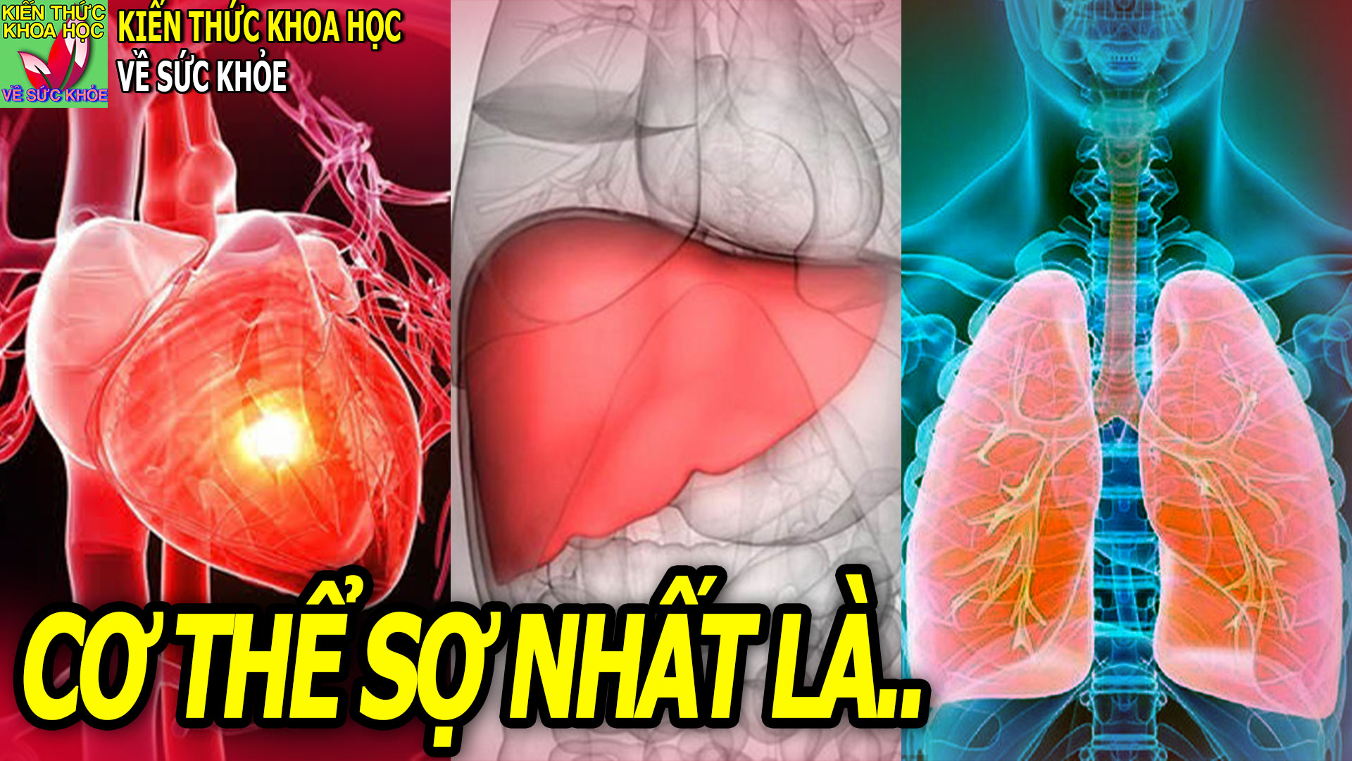 tim-gan-phoi-so-nhat-nhung-dieu-nay