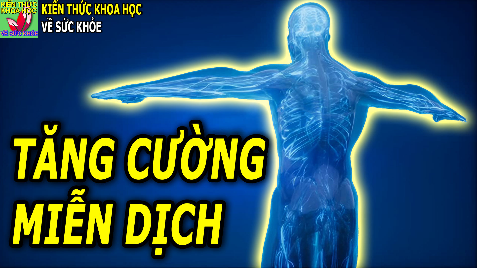 5-cach-tang-cuong-he-mien-dich-chu-dong-phong-chong-benh-tat