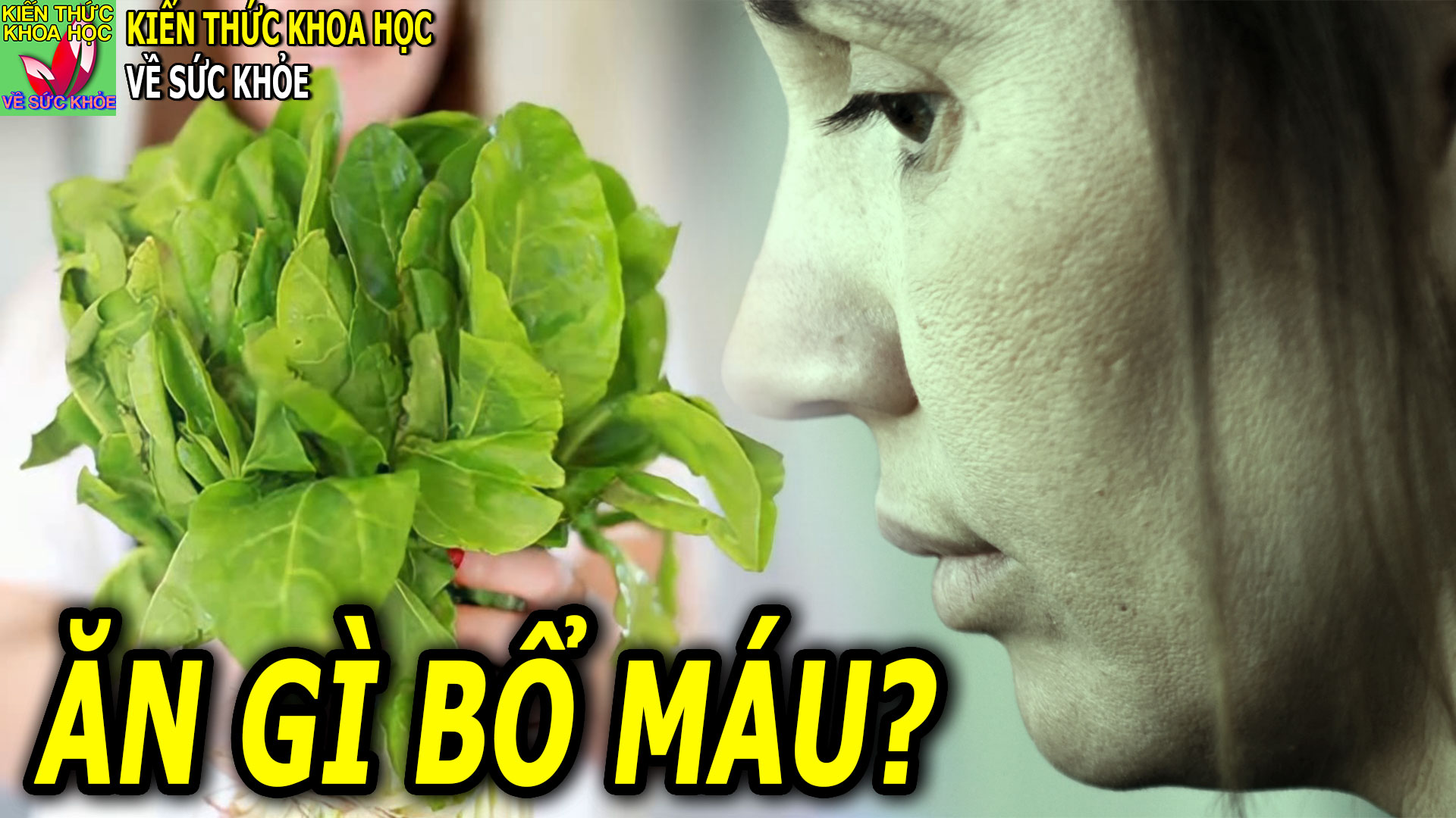 5-loai-rau-bo-mau-hang-dau-nguoi-thieu-mau-sac-mat-kem-nen-biet