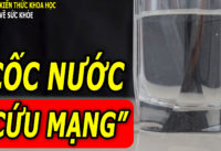 6-nhom-nguoi-nhat-dinh-phai-tu-nhac-minh-uong-nuoc-thuong-xuyen