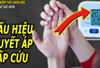 dau-hieu-tang-huyet-ap-nghiem-trong-co-the-dan-den-dot-quy