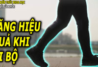 di-bo-kieu-nay-giup-tim-khoe-hon-ai-cung-nen-biet-som