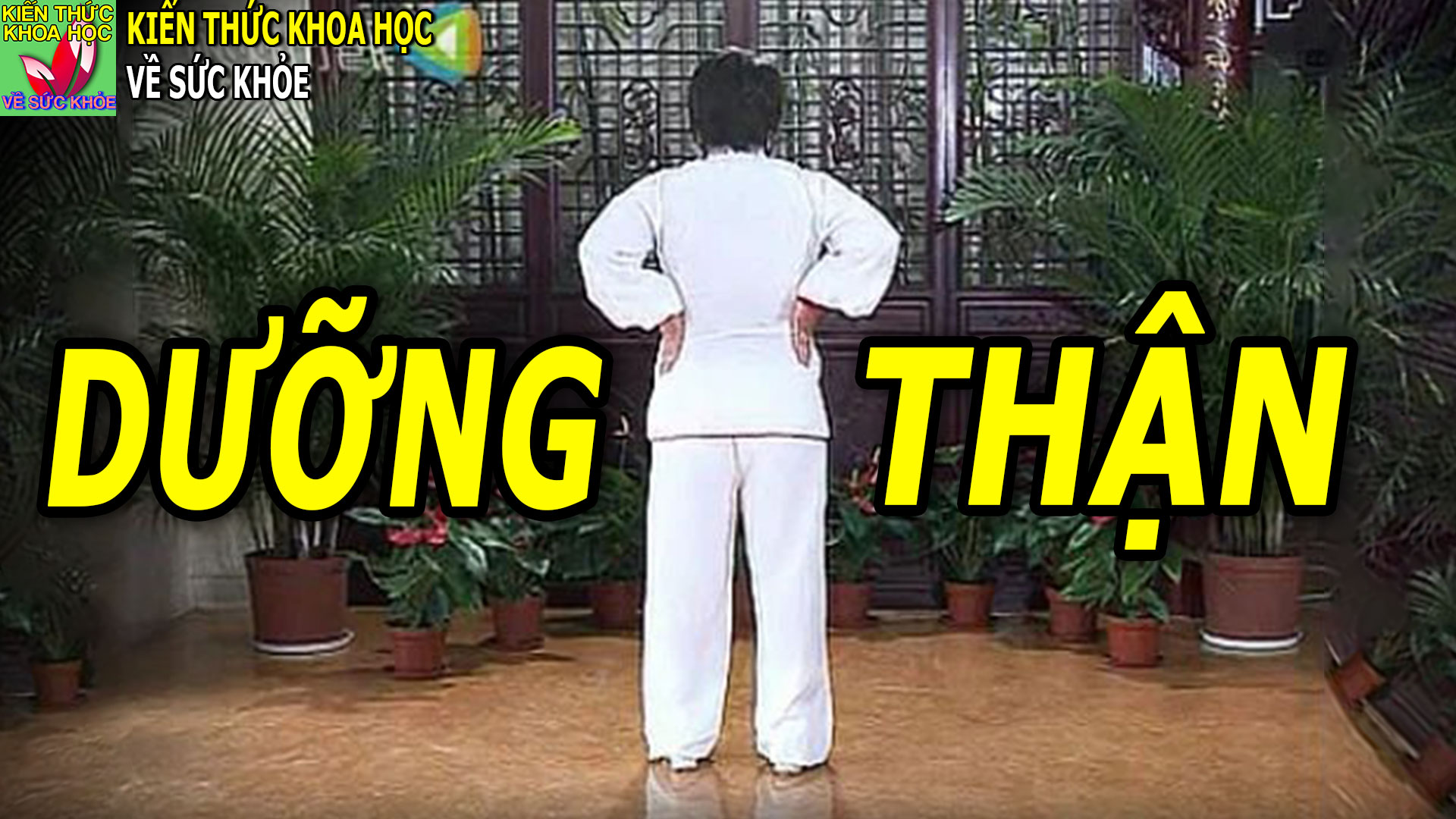 moi-ngay-danh-ra-vai-phut-giup-bo-than-tang-cuong-duong-khi