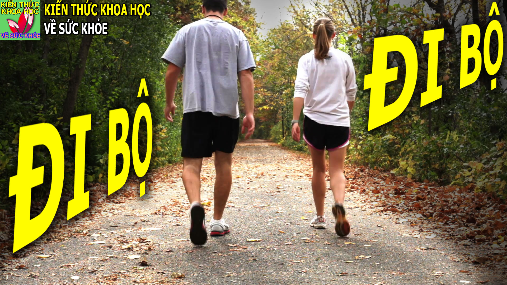 tai-sao-di-bo-moi-ngay-lai-la-bai-tap-the-duc-tot-nhat