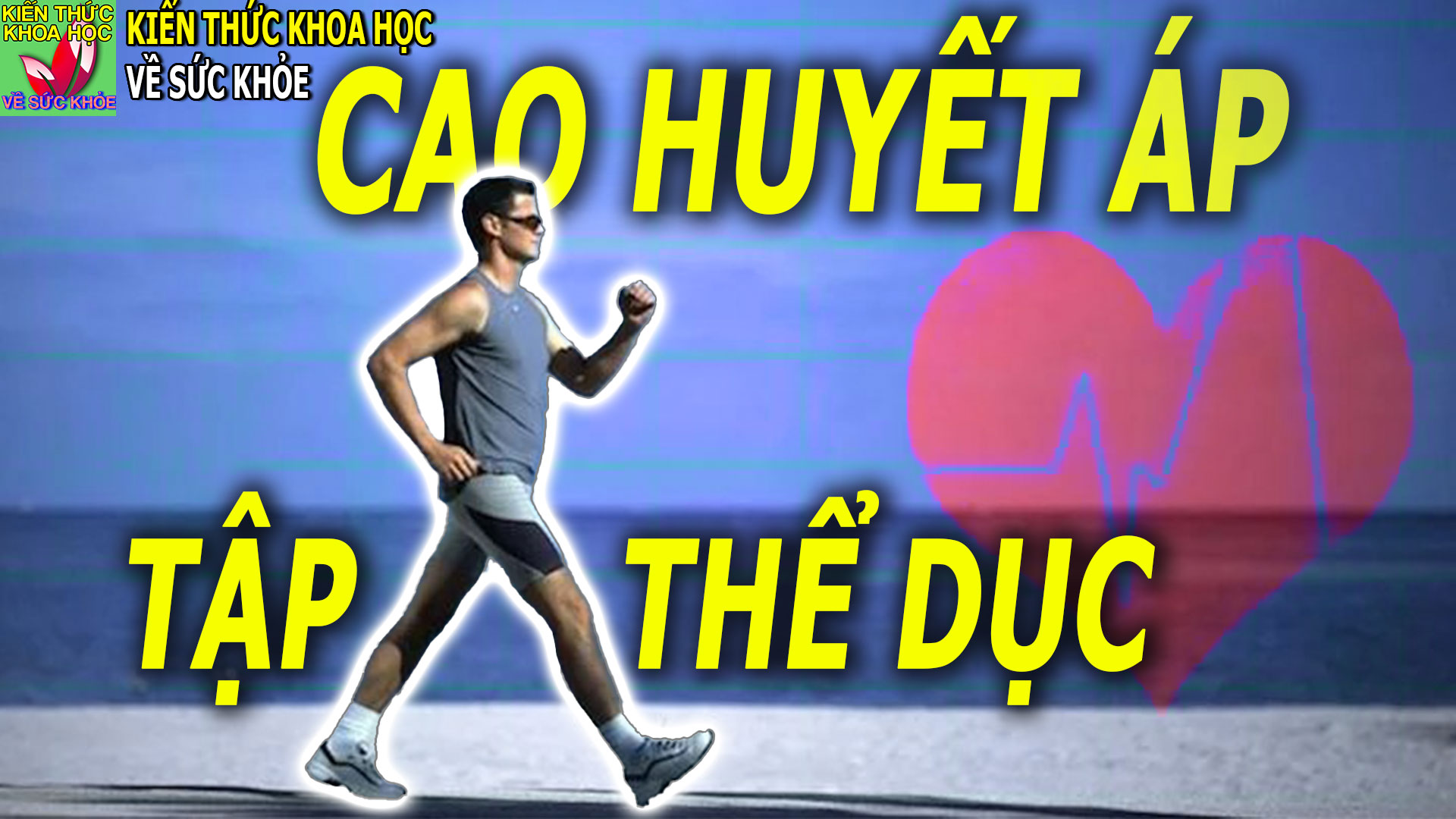 tap-the-duc-cho-nguoi-cao-huyet-ap