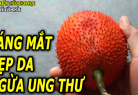 vua-chong-ung-thu-lai-con-tot-cho-mat-va-dep-da
