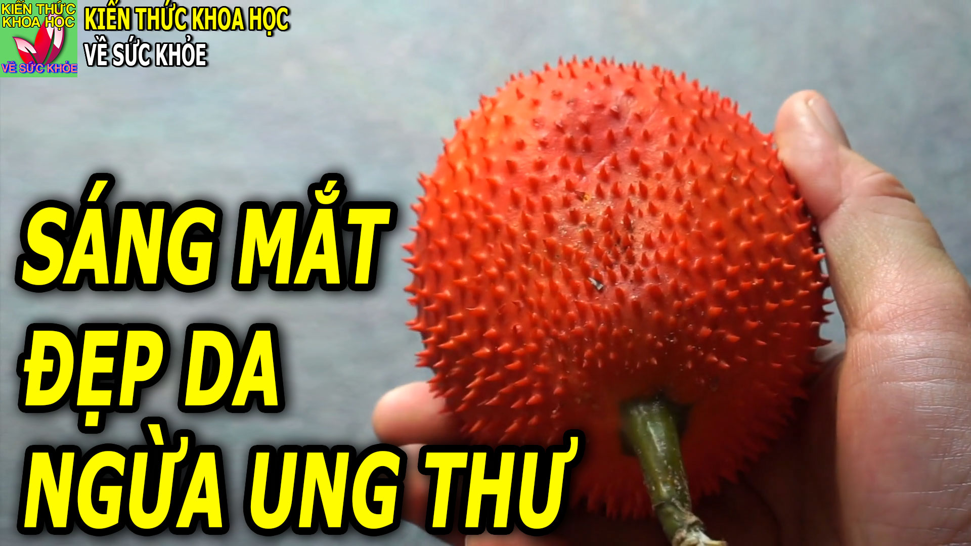 vua-chong-ung-thu-lai-con-tot-cho-mat-va-dep-da