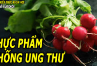 10-loai-thuc-pham-chong-ung-thu-hang-dau