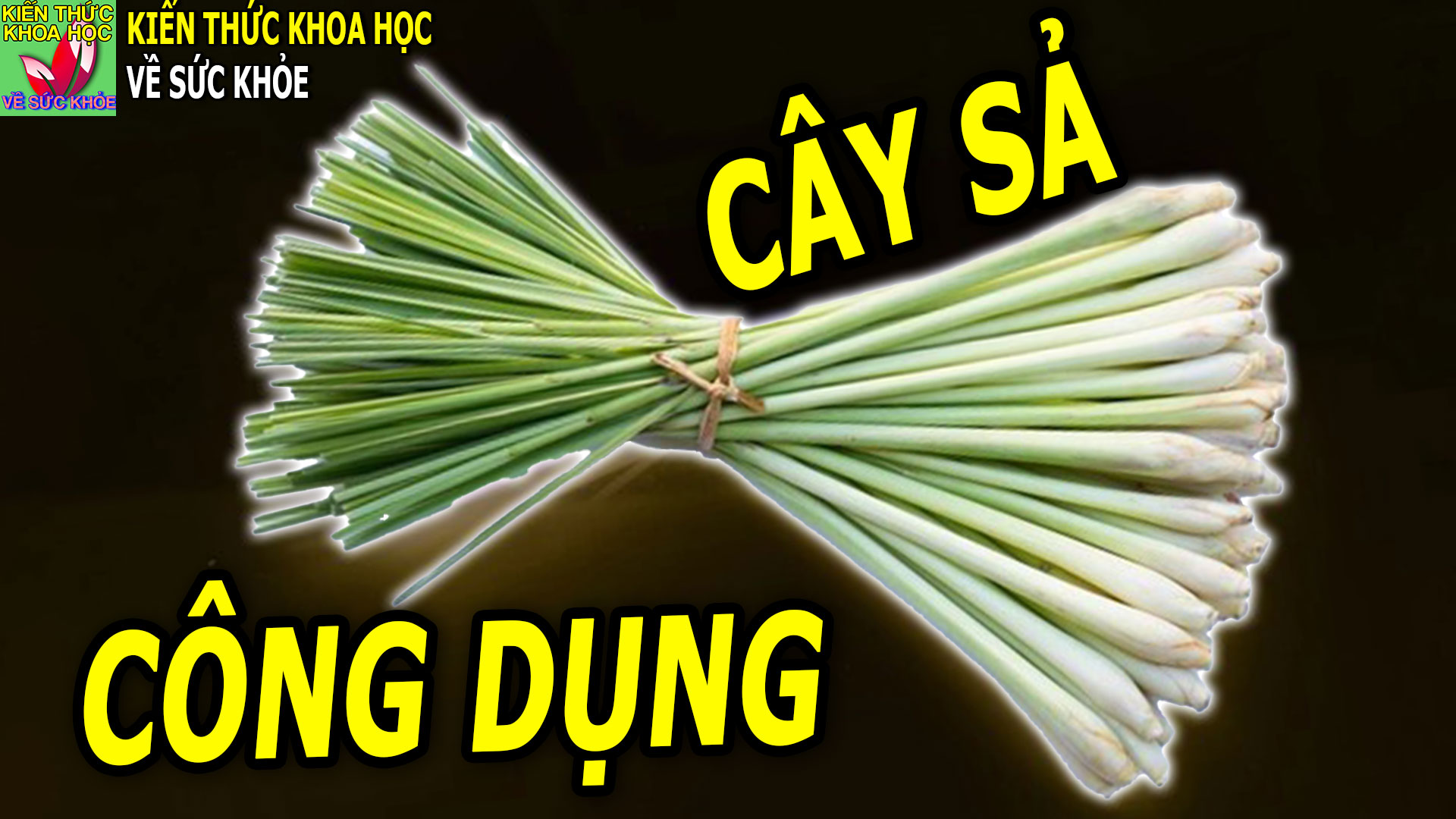 6-cach-dung-sa-sieu-hieu-qua-khong-nhieu-nguoi-biet