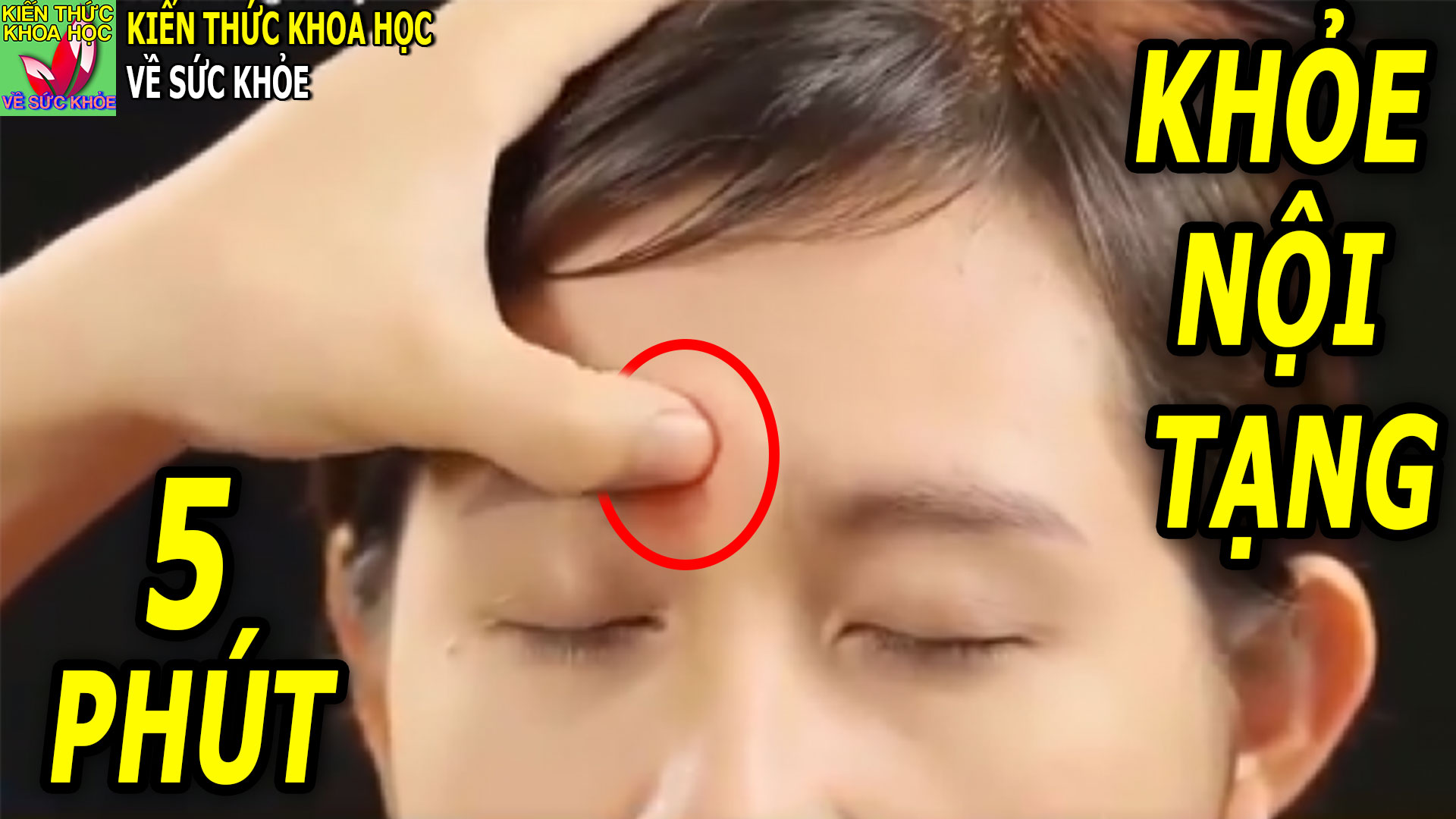 bai-bam-huyet-khoe-nguoi-it-benh-chi-5-phut-moi-sang