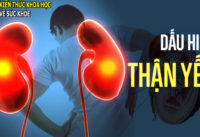 dau-hieu-benh-than-va-suy-than
