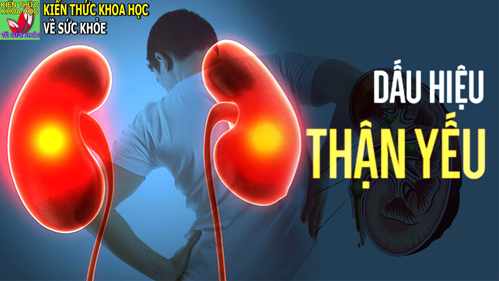 dau-hieu-benh-than-va-suy-than