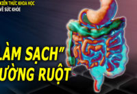 duong-ruot-va-suc-khoe-cach-lam-sach-duong-ruot