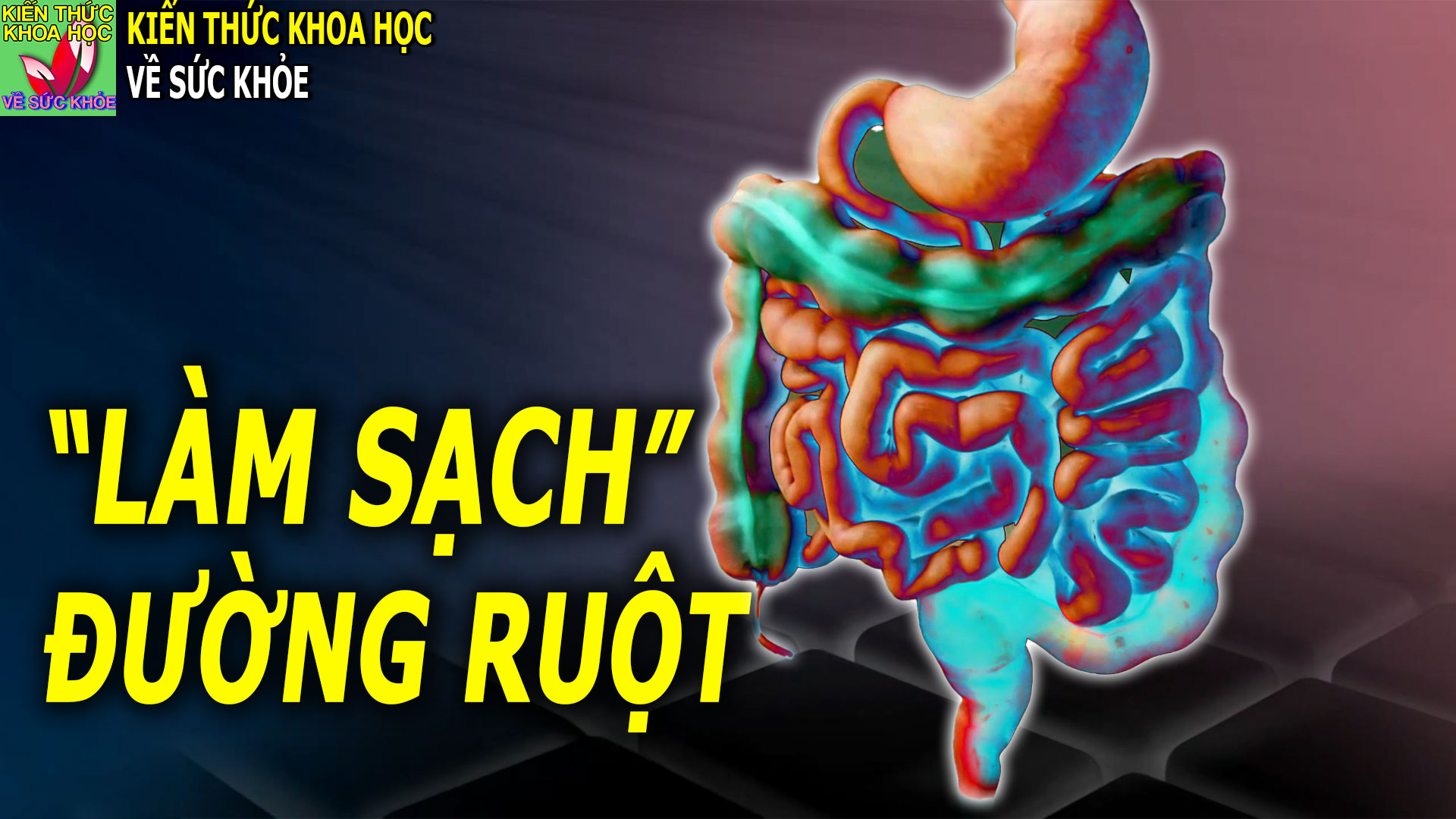 duong-ruot-va-suc-khoe-cach-lam-sach-duong-ruot