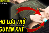 huyet-vi-quan-trong-co-tac-dung-hon-ca-thuoc-bo