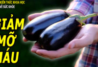 mo-mau-cao-lam-ngay-4-mon-nay-de-phong-ngua-tai-bien-dot-quy