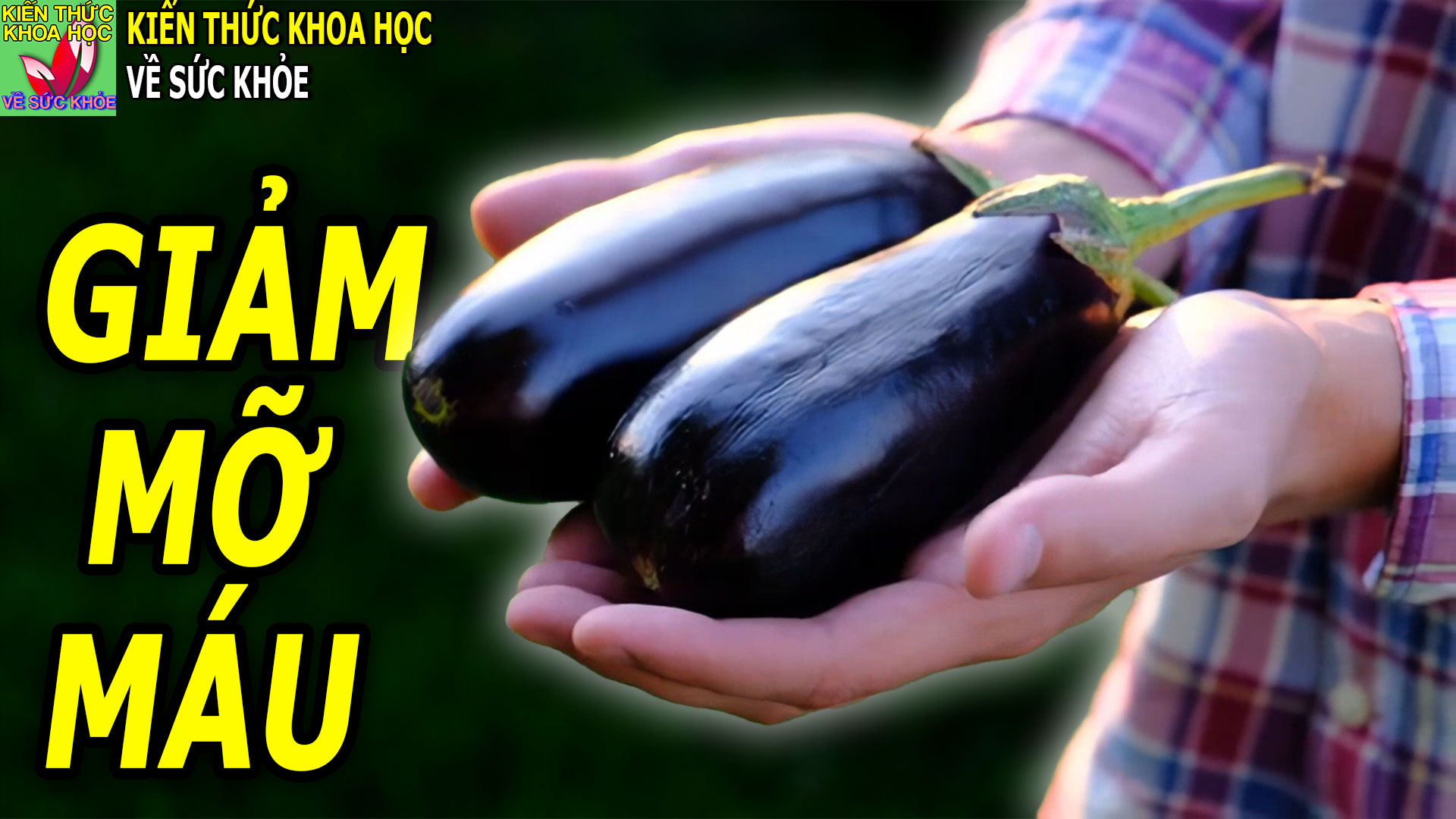 mo-mau-cao-lam-ngay-4-mon-nay-de-phong-ngua-tai-bien-dot-quy