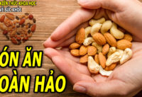 an-cac-loai-hat-moi-ngay-dieu-gi-se-xay-ra-voi-co-the