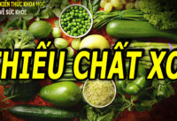 an-thieu-chat-xo-dieu-gi-se-xay-ra-voi-co-the