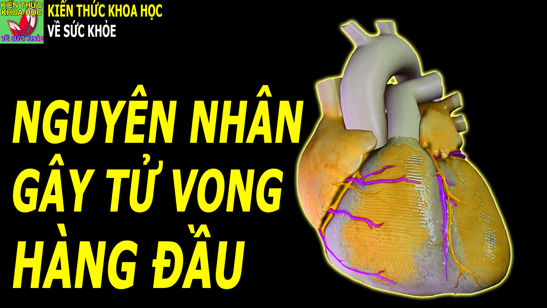 benh-tim-mach-co-the-phong-ngua