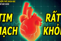 bi-quyet-de-80-tuoi-van-co-mach-mau-tre-nhu-50