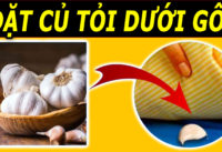 dat-cu-toi-duoi-goi-co-the-nhan-ve-8-loi-ich-suc-khoe-khong-ngo