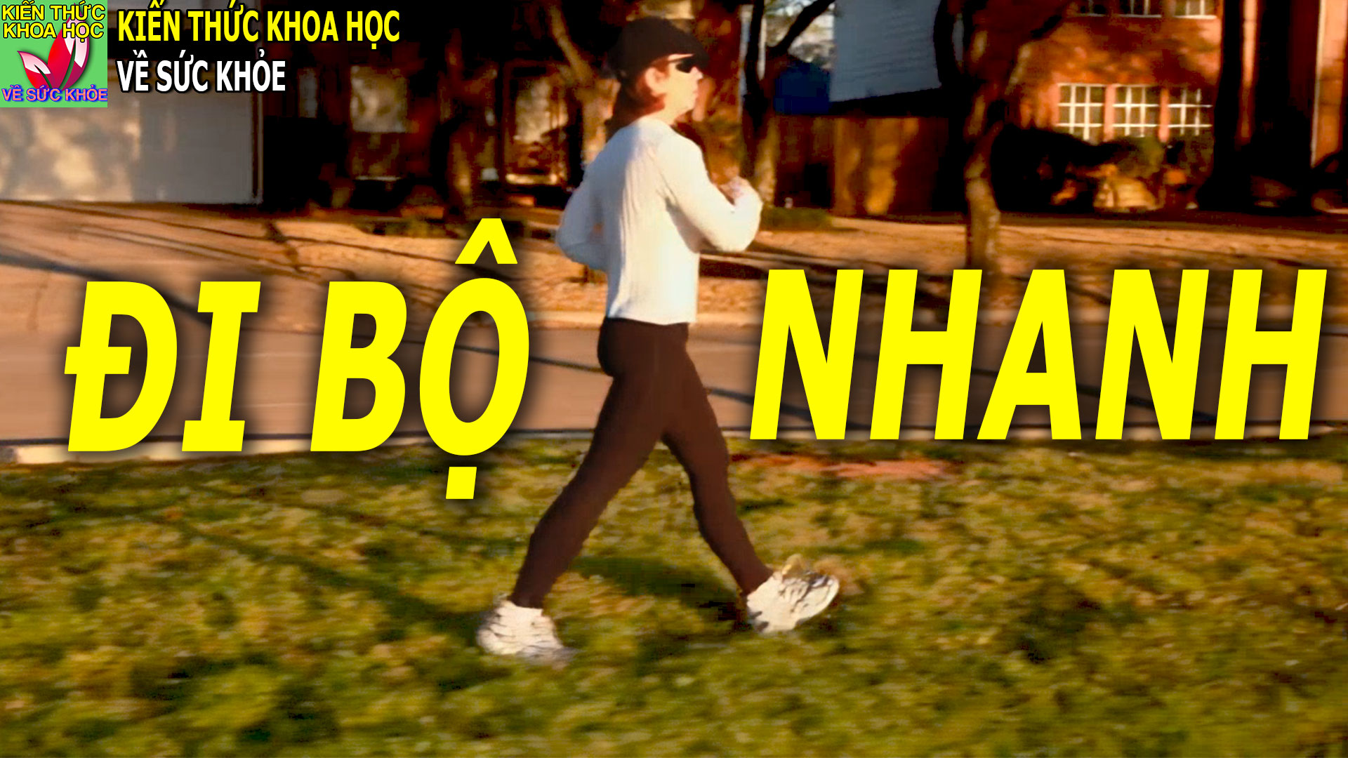 di-bo-nhanh-bai-tap-tang-cuong-suc-khoe-va-tuoi-tho