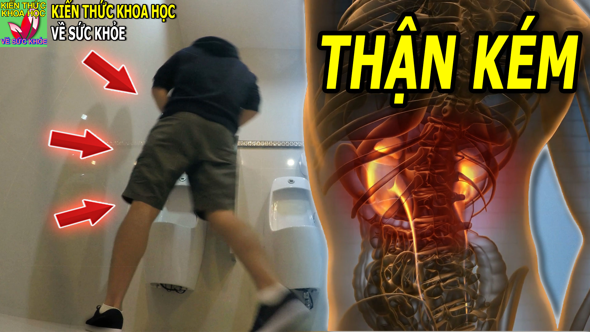 gap-tinh-trang-nay-rat-de-dan-den-suy-than