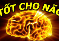 5-viec-lam-tot-cho-nao-giup-cai-thien-tri-nho