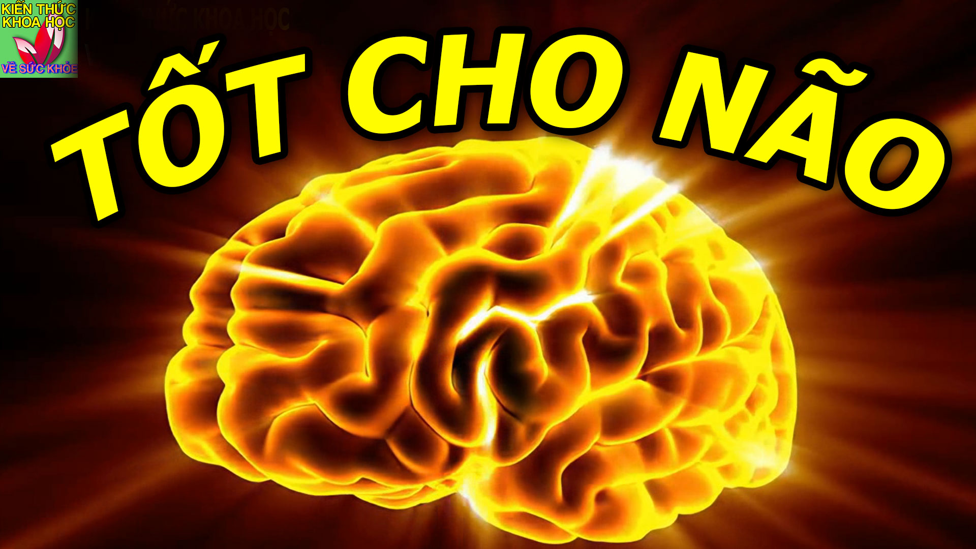 5-viec-lam-tot-cho-nao-giup-cai-thien-tri-nho