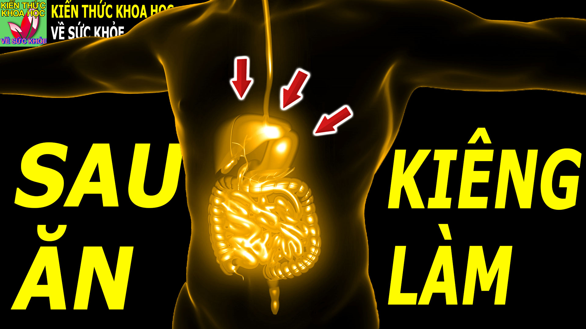 5-viec-tranh-lam-sau-bua-an