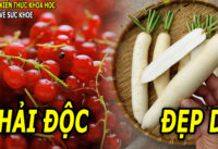 7-loai-thuc-pham-ho-tro-thai-doc-co-the-tre-hoa-lan-da