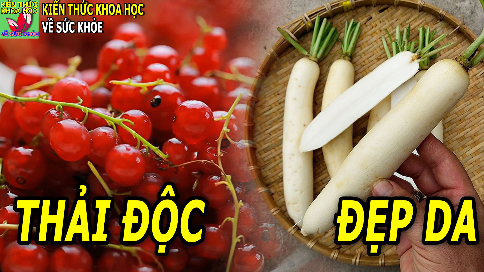 7-loai-thuc-pham-ho-tro-thai-doc-co-the-tre-hoa-lan-da