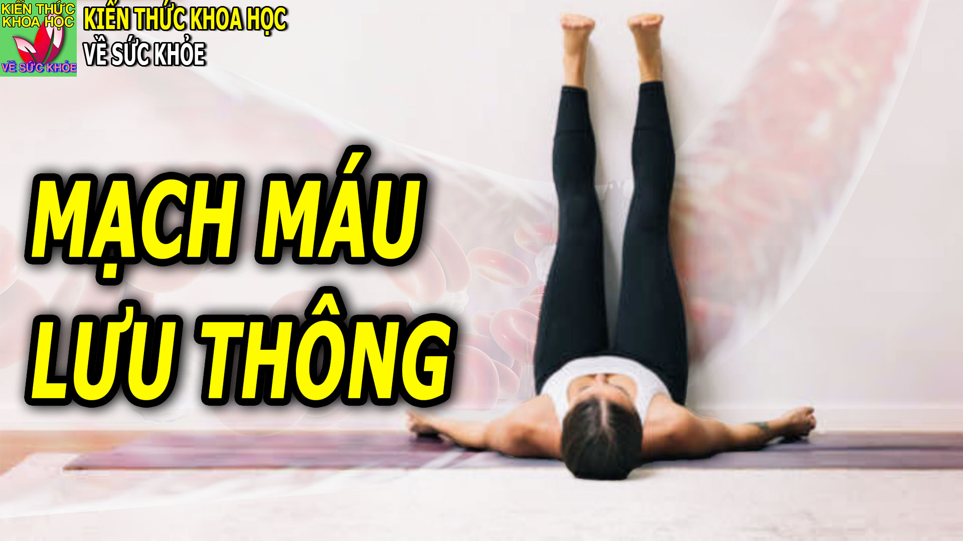 Mạch máu khỏe mạnh tới già nhờ duy trì 10 thói quen này