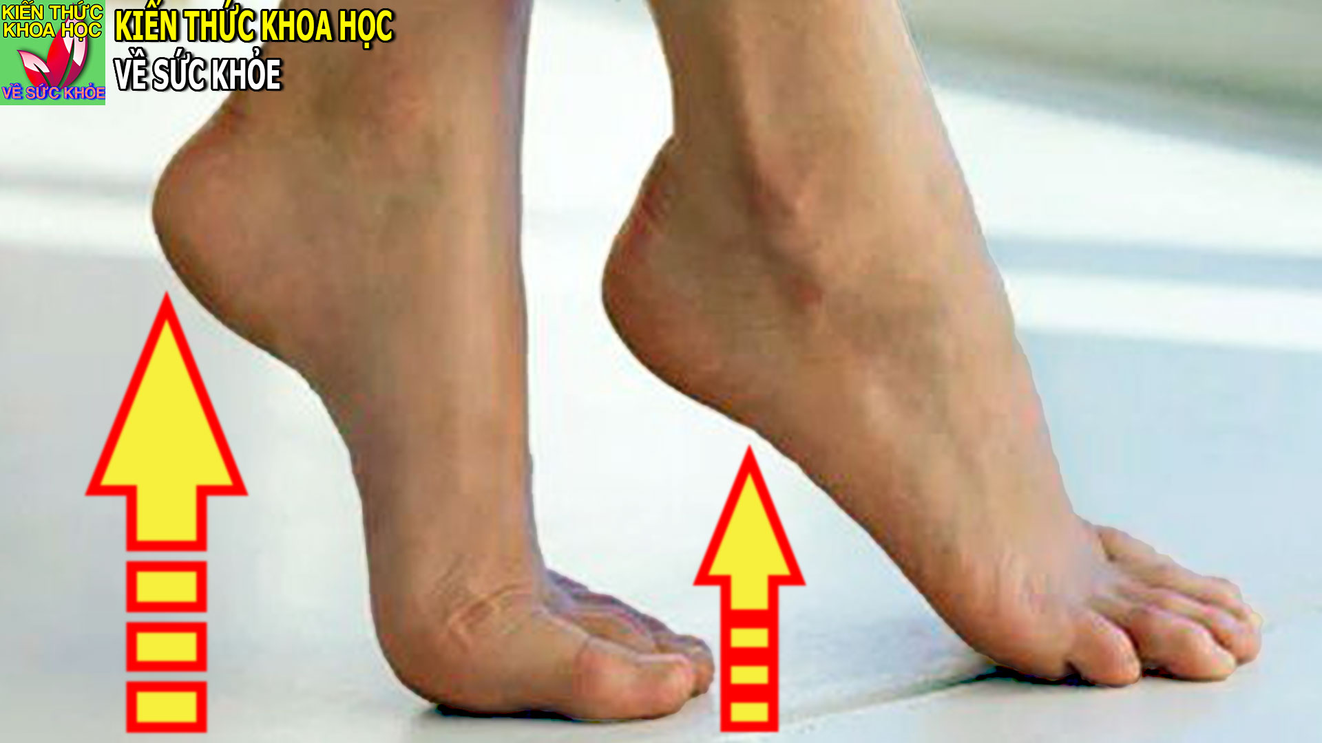 mot-dong-tac-chua-10-loai-benh-cung-luc